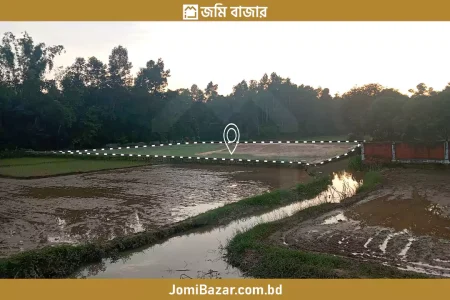 হেয়াকো চৌধুরী পাড়া মাদ্রাসার পাশে ৫০ শতক জোতের জায়গা বিক্রি করা হবে_jomibazar.com.bd_জমি বাজার_24FAT003_1