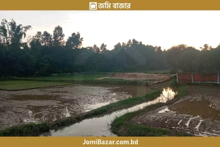 হেয়াকো চৌধুরী পাড়া মাদ্রাসার পাশে ৫০ শতক জোতের জায়গা বিক্রি করা হবে_jomibazar.com.bd_জমি বাজার_24FAT003_2