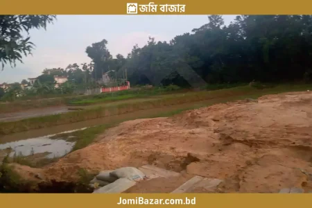 হেয়াকো চৌধুরী পাড়া মাদ্রাসার পাশে ৫০ শতক জোতের জায়গা বিক্রি করা হবে_jomibazar.com.bd_জমি বাজার_24FAT003_3
