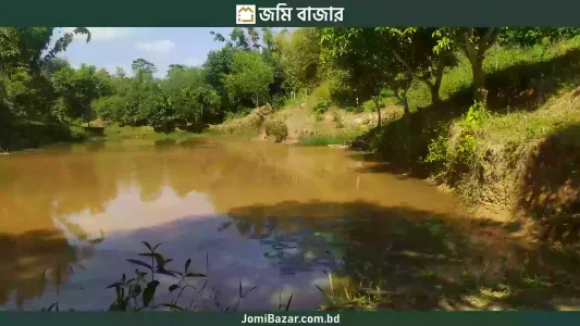 হেয়াকো উত্তর মোহাম্মদপুর মাছের প্রজেক্ট সহ ১৪৪শতক দখলীয় জায়গা বিক্রি করা হবে_jomibazar.com.bd_জমি বাজার_24FAT006_5